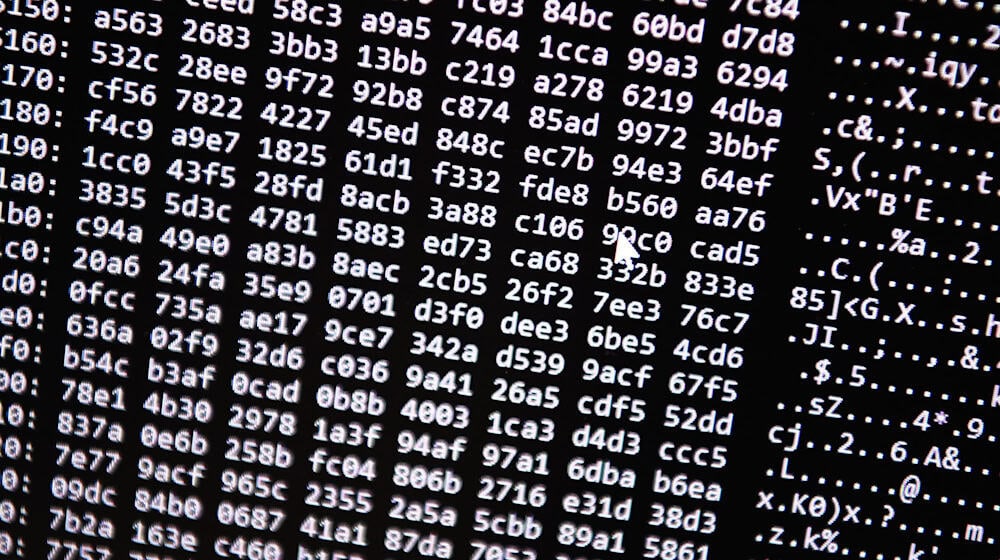 Die Ermittler vermuten eine hohe Dunkelziffer bei Opfern des Cyberbetrugs. (Symbolbild) / Foto: Nicolas Armer/dpa