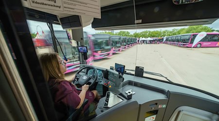Die Bahn betreibt auch viele Busse - nicht nur für Ersatzverkehr.  / Foto: Andreas Arnold/dpa
