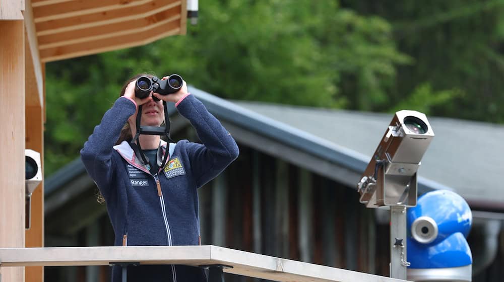 Rangerin Daniela Tritscher war bislang für das Naturschutzzentrum Alpinium in den Allgäuer Bergen unterwegs. Nun wird das Modellprojekt beendet. (Archivbild) / Foto: Karl-Josef Hildenbrand/dpa
