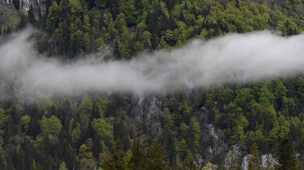 Zwischen Hohenschwangau und Berchtesgaden ließ König Maximilian II. einige Jagd- und Pirschhütten errichten. (Symbolbild) / Foto: Angelika Warmuth/dpa
