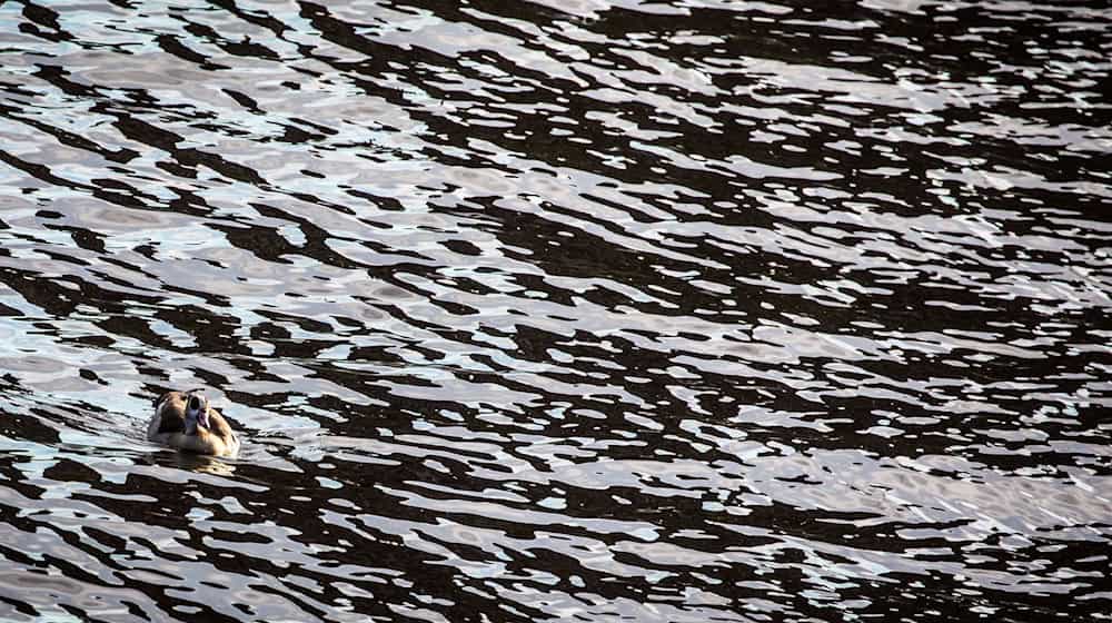 Auf dem Main in Unterfranken gab es eine Havarie, bei der Dieselkraftstoff ins Wasser gelaufen ist. (Symbolbild) / Foto: picture alliance / Frank Rumpenhorst/dpa