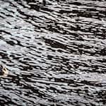 Auf dem Main in Unterfranken gab es eine Havarie, bei der Dieselkraftstoff ins Wasser gelaufen ist. (Symbolbild) / Foto: picture alliance / Frank Rumpenhorst/dpa