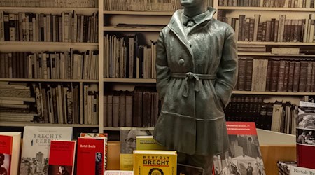 Eine Brechtfigur und Brecht-Literatur in einer Augsburger Buchhandlung. (Archivfoto) / Foto: Stefan Puchner/dpa