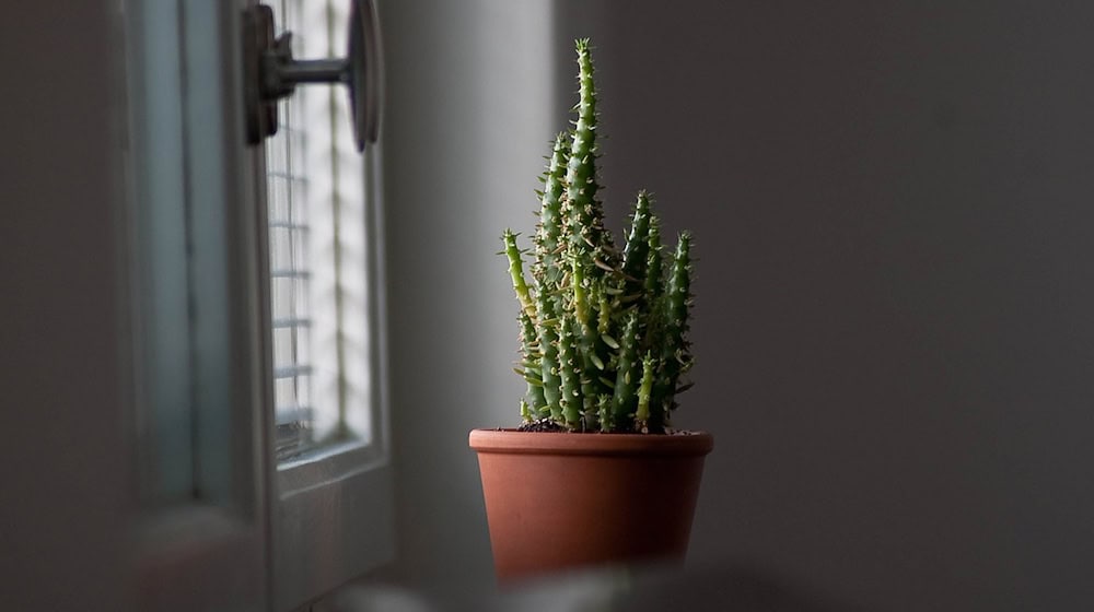 Symbolbild Fenster / pixabay HassanAlarady