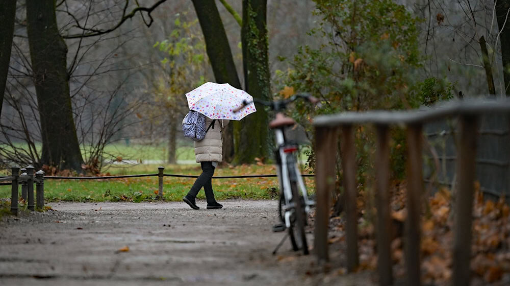 In der neuen Woche heißt es: Regenschirm einpacken. (Symbolbild) / Foto: Malin Wunderlich/dpa