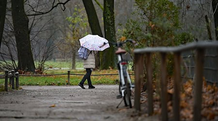 In der neuen Woche heißt es: Regenschirm einpacken. (Symbolbild) / Foto: Malin Wunderlich/dpa
