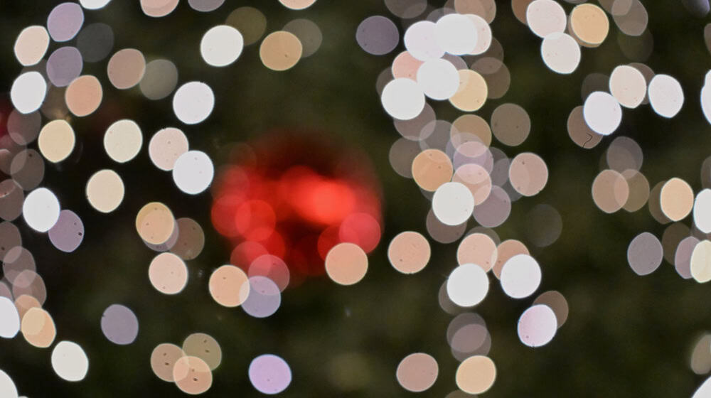 Für eine Geschichte wie aus einem Weihnachtsfilm sorgte ein Weihnachtsbaum-Dieb im Unterallgäu. (Symbolbild) / Foto: Jennifer Brückner/dpa