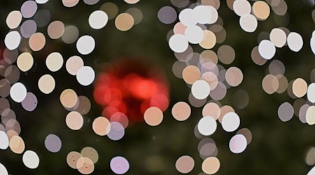 Für eine Geschichte wie aus einem Weihnachtsfilm sorgte ein Weihnachtsbaum-Dieb im Unterallgäu. (Symbolbild) / Foto: Jennifer Brückner/dpa