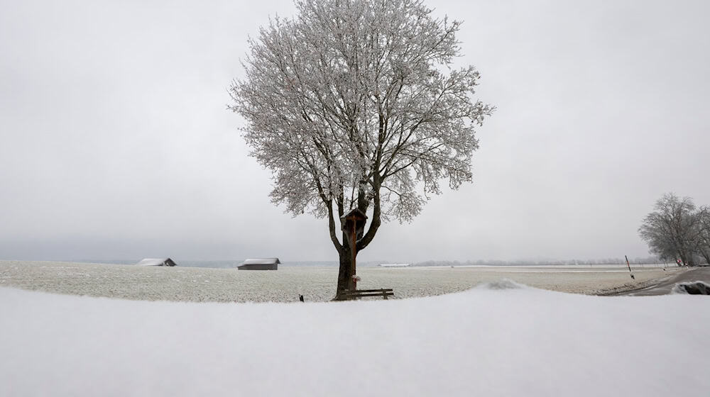 In Teilen Bayerns rieselte an Heiligabend Schnee herunter. / Foto: Peter Kneffel/dpa