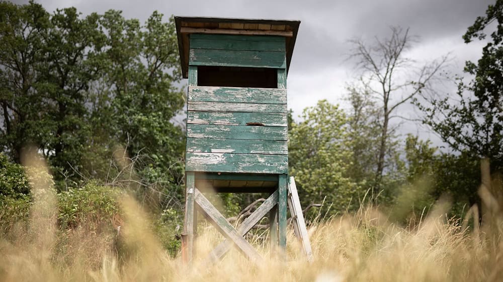 Das bayerische Jagdrecht wird reformiert. (Archivbild) / Foto: Tim Würz/dpa