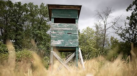 Das bayerische Jagdrecht wird reformiert. (Archivbild) / Foto: Tim Würz/dpa