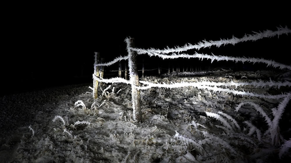 Bis auf minus 12 Grad können die Temperaturen in Bayern in der Nacht auf Montag sinken. (Archivbild) / Foto: Karl-Josef Hildenbrand/dpa