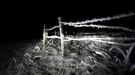 Bis auf minus 12 Grad können die Temperaturen in Bayern in der Nacht auf Montag sinken. (Archivbild) / Foto: Karl-Josef Hildenbrand/dpa