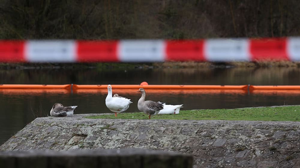 Ölsperren sollen verhindern, dass sich der Kraftstoff weiter ausbreitet.  / Foto: Karl-Josef Hildenbrand/dpa