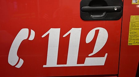 Bei einem Brand sind 100 Schweine verendet. (Symbolbild) / Foto: Felix Hörhager/dpa