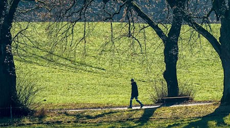 Vor allem im Süden Bayerns soll es nach Angaben des Deutschen Wetterdienstes (DWD) sehr mild werden. (Archivbild) / Foto: Peter Kneffel/dpa
