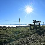 Wer in die Alpen fährt, kann sich am Wochenende auf Sonne freuen. (Archivbild) / Foto: Malin Wunderlich/dpa