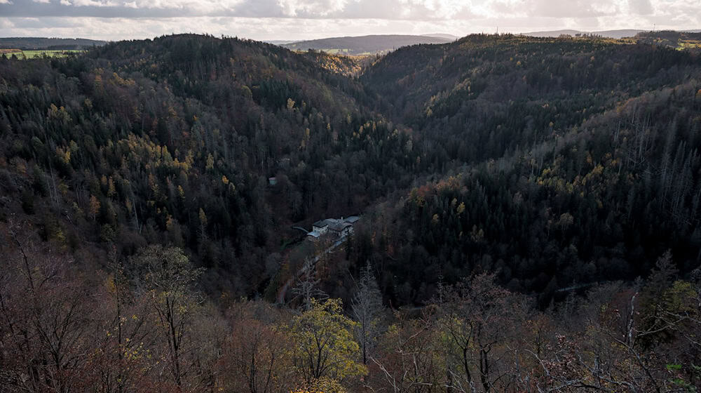 Blick in das Höllental, über das die Höllentalbrücke gebaut werden soll.  / Foto: Daniel Vogl/dpa
