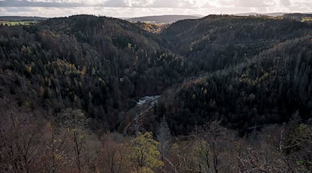 Blick in das Höllental, über das die Höllentalbrücke gebaut werden soll.  / Foto: Daniel Vogl/dpa