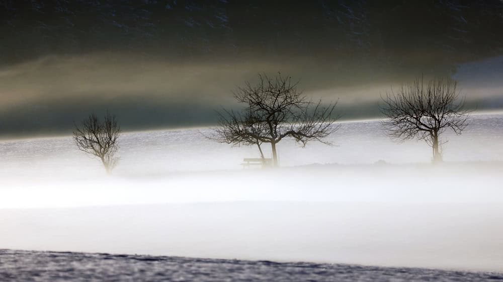 Mild und trüb soll es in Bayern am Wochenende werden. (Symbolbild) / Foto: Karl-Josef Hildenbrand/dpa