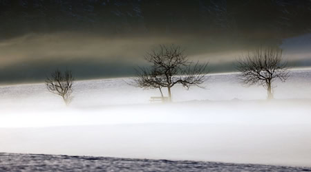 Mild und trüb soll es in Bayern am Wochenende werden. (Symbolbild) / Foto: Karl-Josef Hildenbrand/dpa