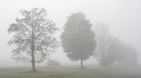 Die nächsten Tage bleibt es nebelig-trüb im Freistaat. (Symbolbild) / Foto: Stefan Puchner/dpa
