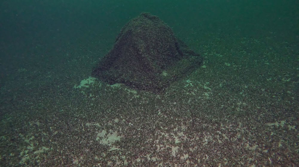 Die Kugel war auf den ersten Blick nicht zu erkennen. / Foto: -/Schiffbergeverein/dpa