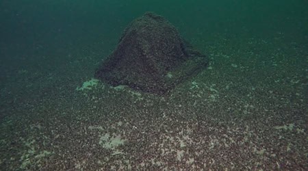 Die Kugel war auf den ersten Blick nicht zu erkennen. / Foto: -/Schiffbergeverein/dpa