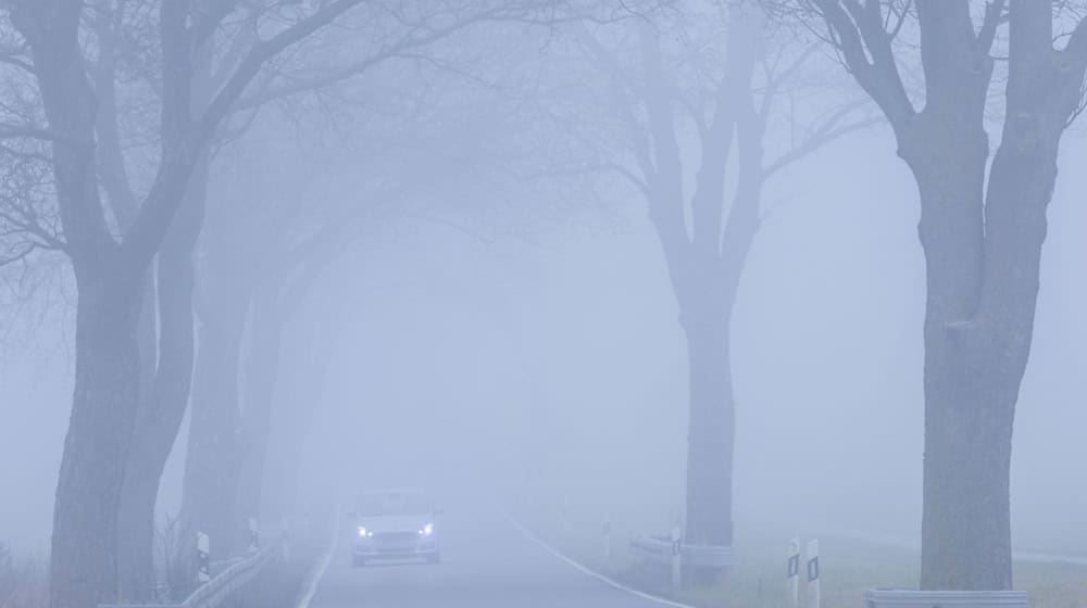 Dichter Nebel sorgte dafür, dass ein Schulbusfahrer die Abzweigung verpasste. (Symbolbild) / Foto: Jens Büttner/dpa