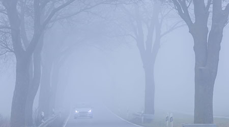Dichter Nebel sorgte dafür, dass ein Schulbusfahrer die Abzweigung verpasste. (Symbolbild) / Foto: Jens Büttner/dpa