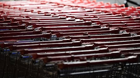 Der Hersteller von Einkaufswagen Wanzl will zwei seiner deutschen Werke schließen. (Symbolbild)  / Foto: Sebastian Kahnert/dpa