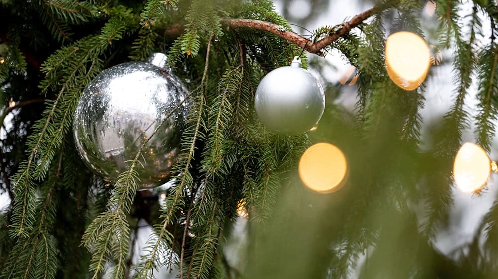 Auch der Christbaumschmuck, die Lichterkette und ein angrenzender Holzzaun wurden beschädigt. (Symbolbild) / Foto: Fabian Sommer/dpa