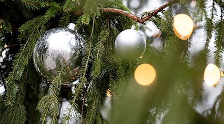 Auch der Christbaumschmuck, die Lichterkette und ein angrenzender Holzzaun wurden beschädigt. (Symbolbild) / Foto: Fabian Sommer/dpa