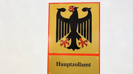 Zollprüfer aus Heilbronn haben bei einem Unternehmen Fehler im Millionenwert festgestellt. (Symbolbild) / Foto: Silas Stein/dpa