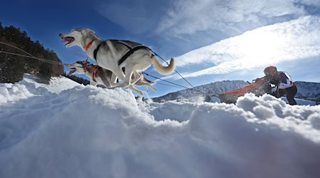 Teams aus etlichen Ländern in Europas gingen im bayerisch-österreichischen Grenzgebiet an den Start. / Foto: Karl-Josef Hildenbrand/dpa