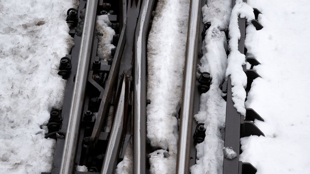 Wegen der hohen Schneelast sind nach Angaben der Bahn im Raum Nürnberg mehrere Bäume auf Gleise gestürzt. (Symbolbild) / Foto: Sven Hoppe/dpa