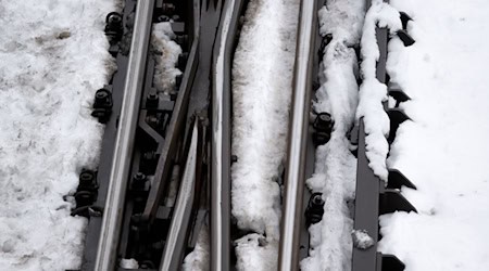 Wegen der hohen Schneelast sind nach Angaben der Bahn im Raum Nürnberg mehrere Bäume auf Gleise gestürzt. (Symbolbild) / Foto: Sven Hoppe/dpa