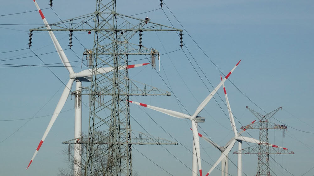 Tennet Deutschland hat seinen Sitz in Bayreuth. (Symbolbild) / Foto: Carsten Rehder/dpa
