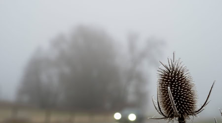 Trübes Wetter bestimmt den Samstag in weiten Teilen des Freistaats. (Archivbild)  / Foto: Stefan Puchner/dpa