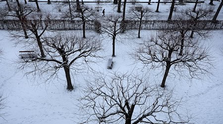 Sonne und Wolken wechseln sich ab, doch der Frost bleibt bis Freitag Dauergast. (Symbolbild) / Foto: Karl-Josef Hildenbrand/dpa