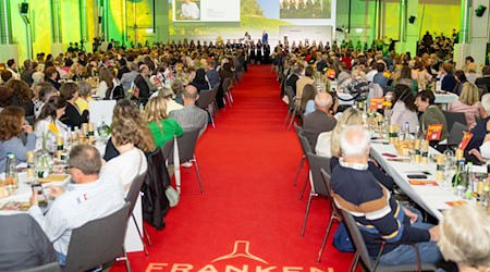 Erstmals kämpft ein Mann um die Weinkrone. (Archivbild) / Foto: Julien Becker/dpa