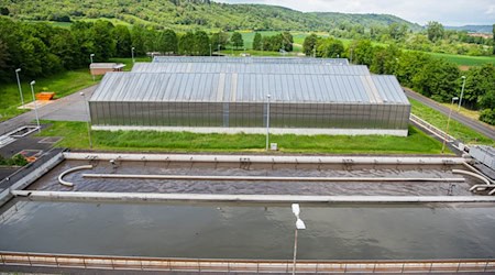 Der Tote trieb nach Angaben der Polizei in einem Klärschlammbecken. (Symbolbild) / Foto: Nicolas Armer/dpa