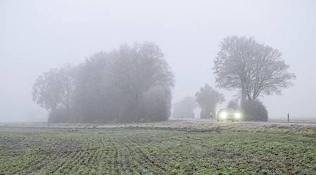 In Bayern gibt es am Wochenende Nebel. (Archivbild) / Foto: Stefan Puchner/dpa