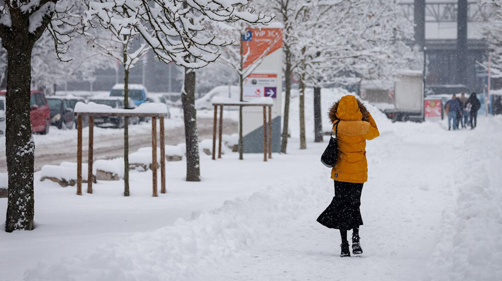 In Nürnberg hat sich viel Schnee auf den Ästen der Bäume gesammelt. Deshalb bleiben zwei große Friedhöfe vorsichtshalber geschlossen. (Symbolbild) / Foto: Daniel Karmann/dpa