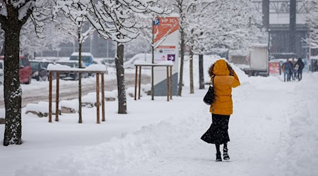 In Nürnberg hat sich viel Schnee auf den Ästen der Bäume gesammelt. Deshalb bleiben zwei große Friedhöfe vorsichtshalber geschlossen. (Symbolbild) / Foto: Daniel Karmann/dpa