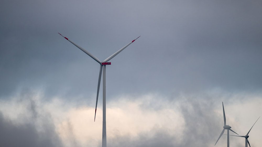 Am Wochenende bläst es weiter kräftig. (Symbolbild) / Foto: Pia Bayer/dpa