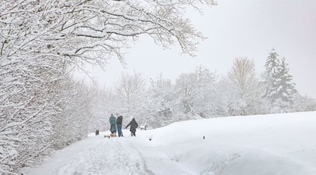 Äste oder Baumkronen können unter der Schneelast brechen und sogar ganze Bäume umstürzen.  / Foto: Daniel Löb/dpa
