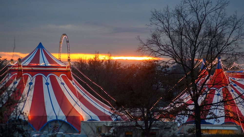 Zirkusbetriebe müssen an die Gema zahlen. (Symbolbild) / Foto: Klaus-Dietmar Gabbert/dpa-Zentralbild/ZB