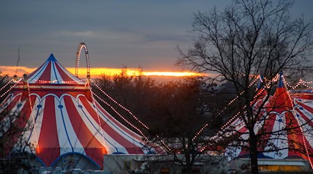 Zirkusbetriebe müssen an die Gema zahlen. (Symbolbild) / Foto: Klaus-Dietmar Gabbert/dpa-Zentralbild/ZB
