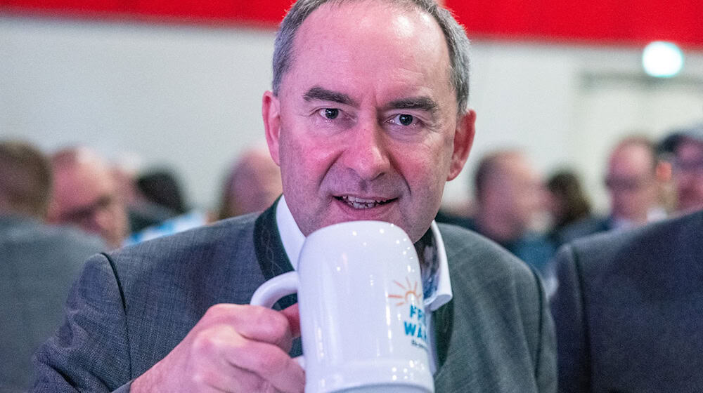 Freie-Wähler-Chef Hubert Aiwanger redet eigentlich immer frei - Redemanuskripte nutzt er praktisch nie.  / Foto: Armin Weigel/dpa